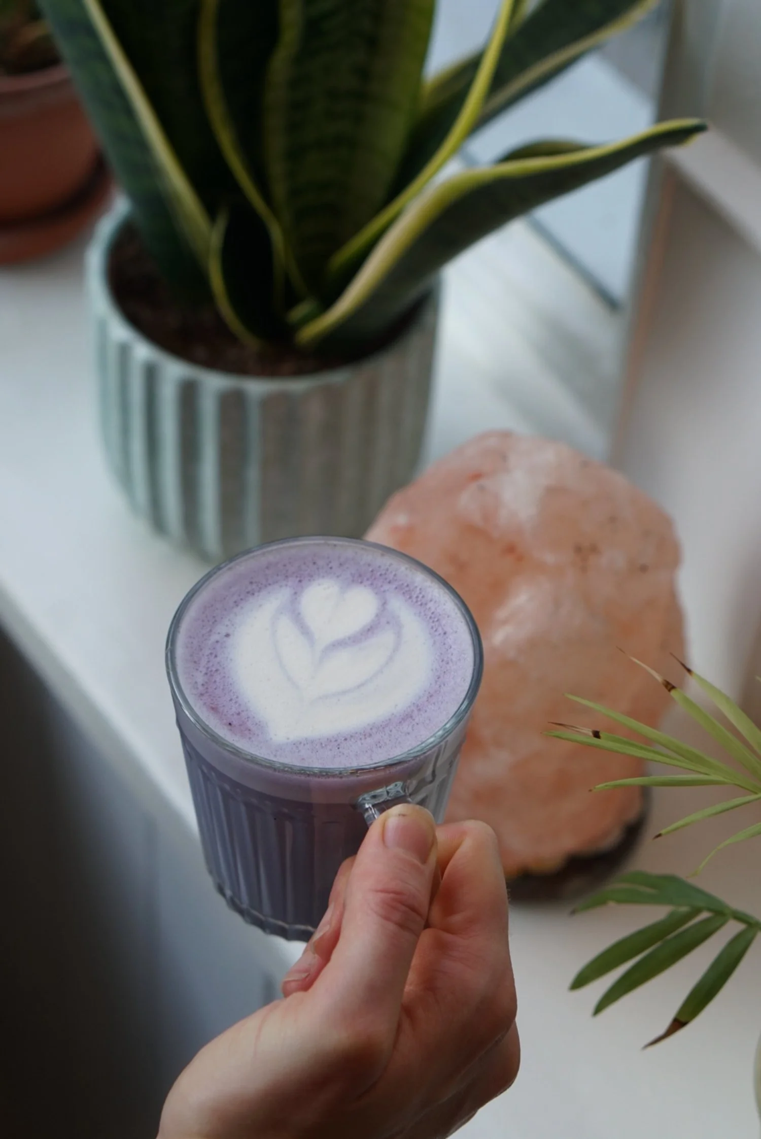 Limited Edition Adaptogenic Powders