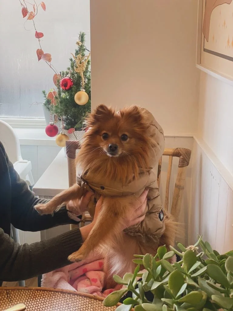 Join us this Thursday evening for late night shopping in Malvern. We will be servings drinks, Christmas specials and some foodie treats until late.

Bring your friends, parents, dogs, babies and plants? 🤷🏼&zwj;♀️