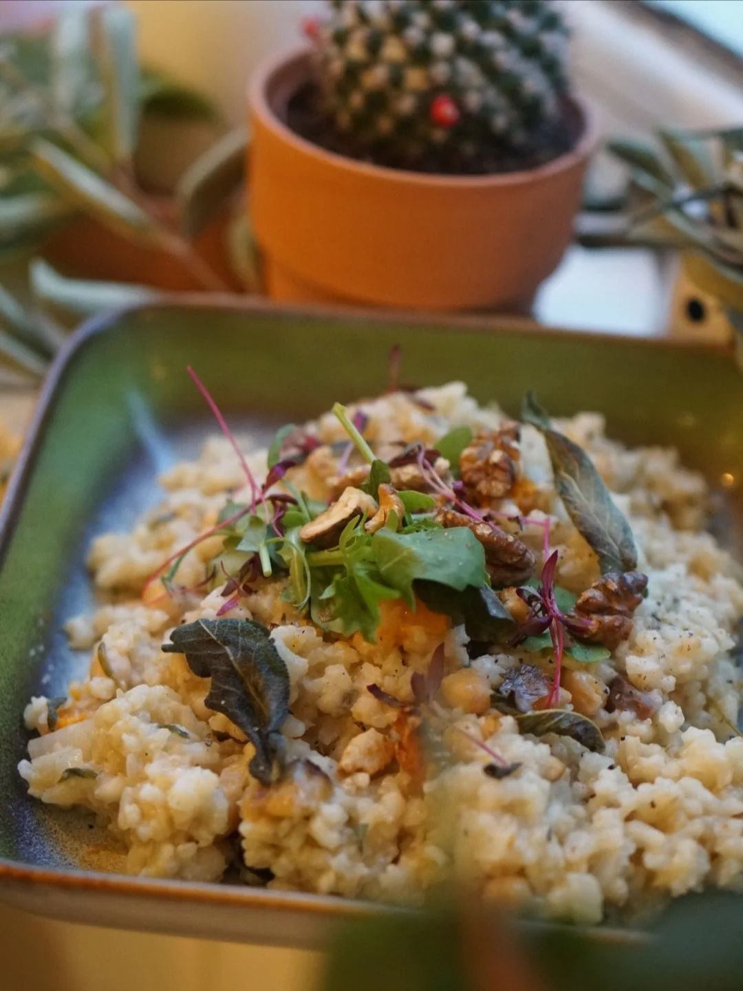 S Q U A S H , C H I C K P E A
+ C H E S T N U T  S A G E
R I S O T T O

~pearl barley and arborio
risotto. mixed with
cinnamon roasted squash,
chickpeas, chestnuts in a
creamy sauce. topped with
crispy sage, roasted walnuts 

⚡️

Perfect for these ra