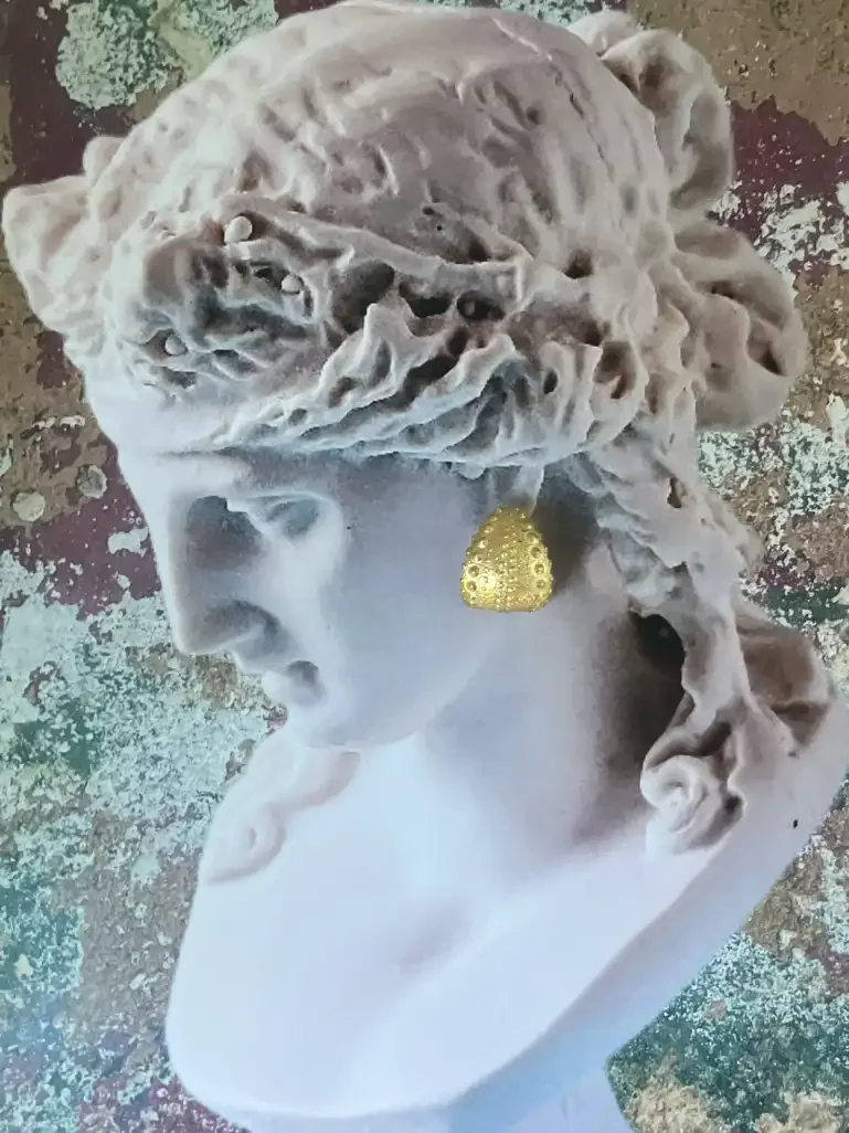 Sea urchin shell earrings in gold vermeil made by jewelry designer Kefi in NYC, displayed on a classical bust