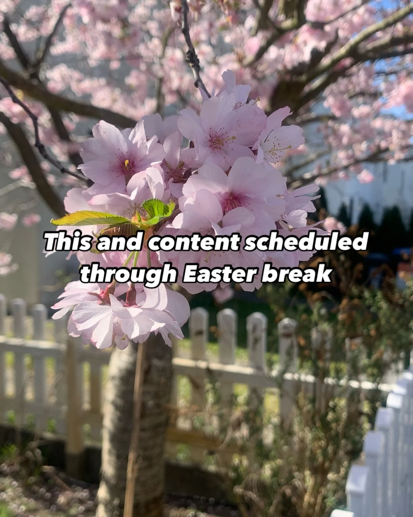 Did I go to niche on this one or can anyone actually relate? 

#thisand #socialmediamemes #socialmediastrategists