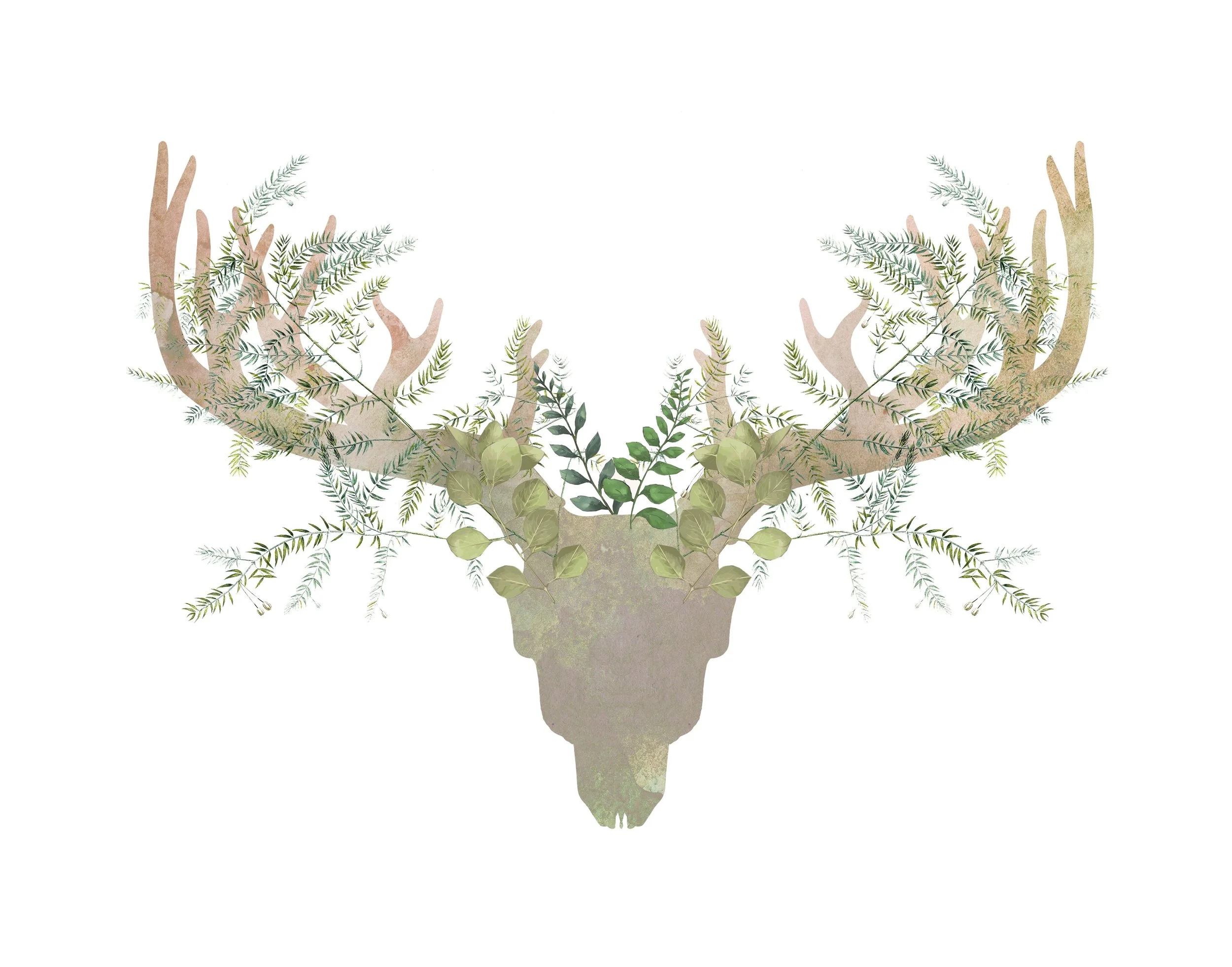 DEER-1-11x14_Original.jpeg