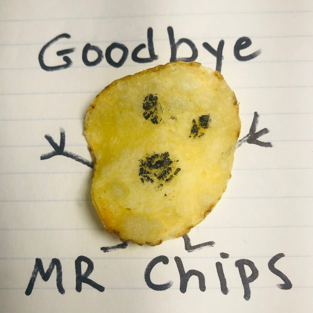 Goodbye Mr. Chips