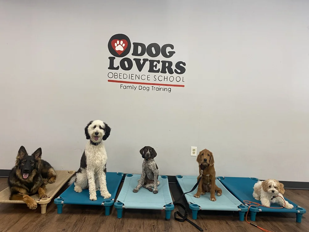Private Dog Obedience Training — Dog Lover's Obedience School