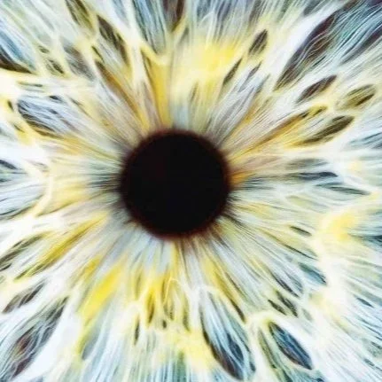 AMD Prevention and Early Intervention