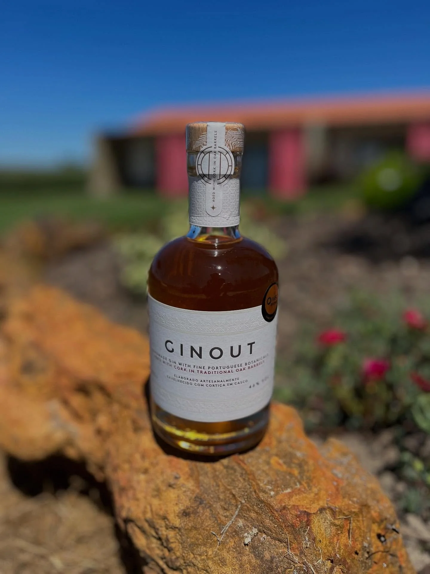 A hist&oacute;ria do Ginout &eacute; feita de encontros, inspira&ccedil;&otilde;es e a vontade de transformar momentos simples em mem&oacute;rias inesquec&iacute;veis.
Nasceu da paix&atilde;o por criar um gin premium inspirado no melhor que h&aacute;