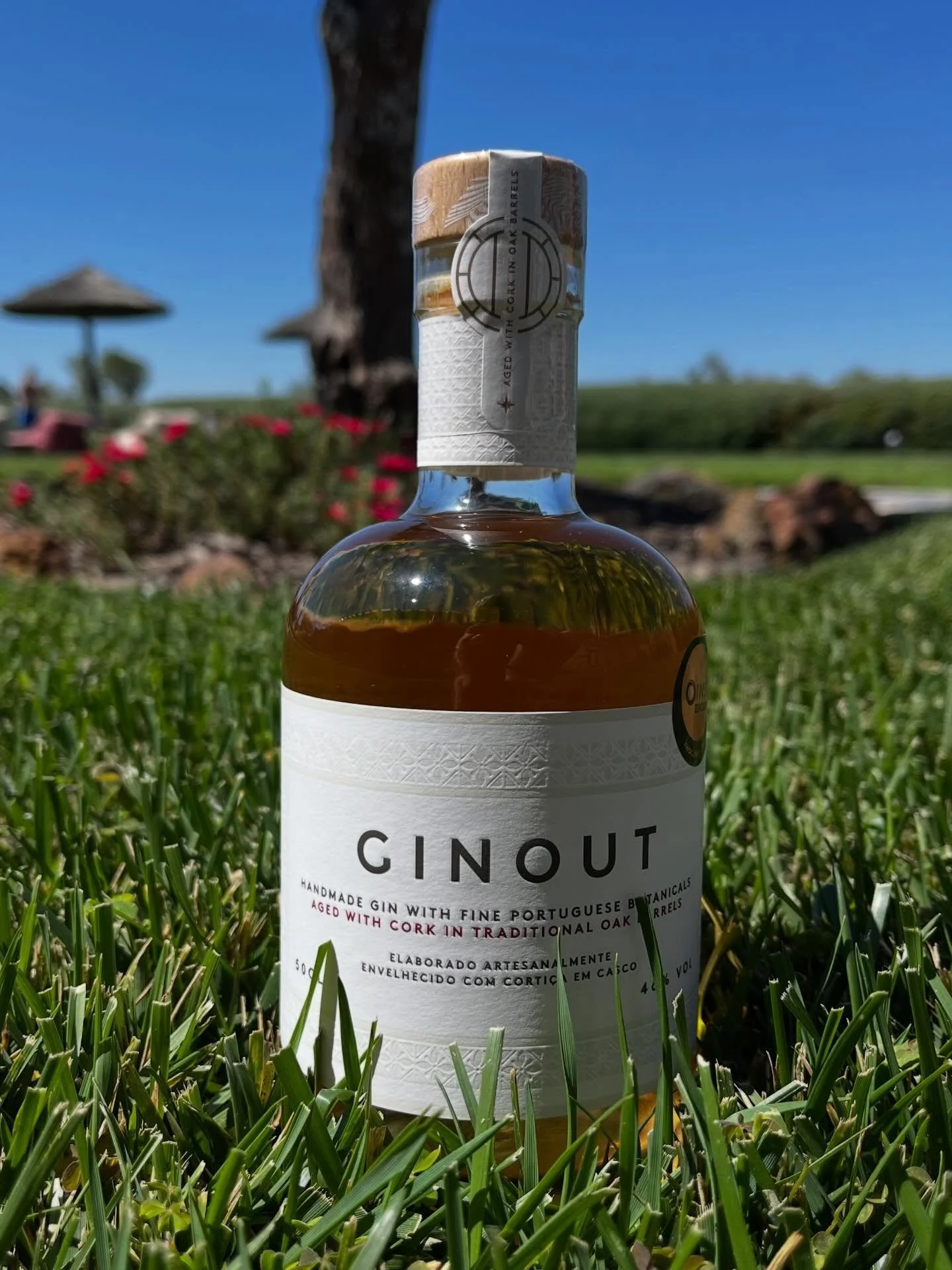 Um brinde ao in&iacute;cio da Primavera! Come&ccedil;a a &eacute;poca dos fins de tarde prolongados, os almo&ccedil;os pregui&ccedil;osos ao fim de semana e os deliciosos cocktails com Ginout. Viva a primavera ! #agedinsideout #ginout #ginlovers #gin