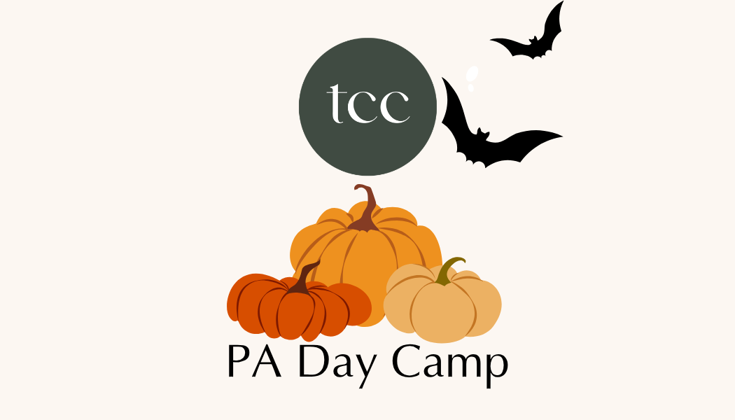 PA Day Camp
