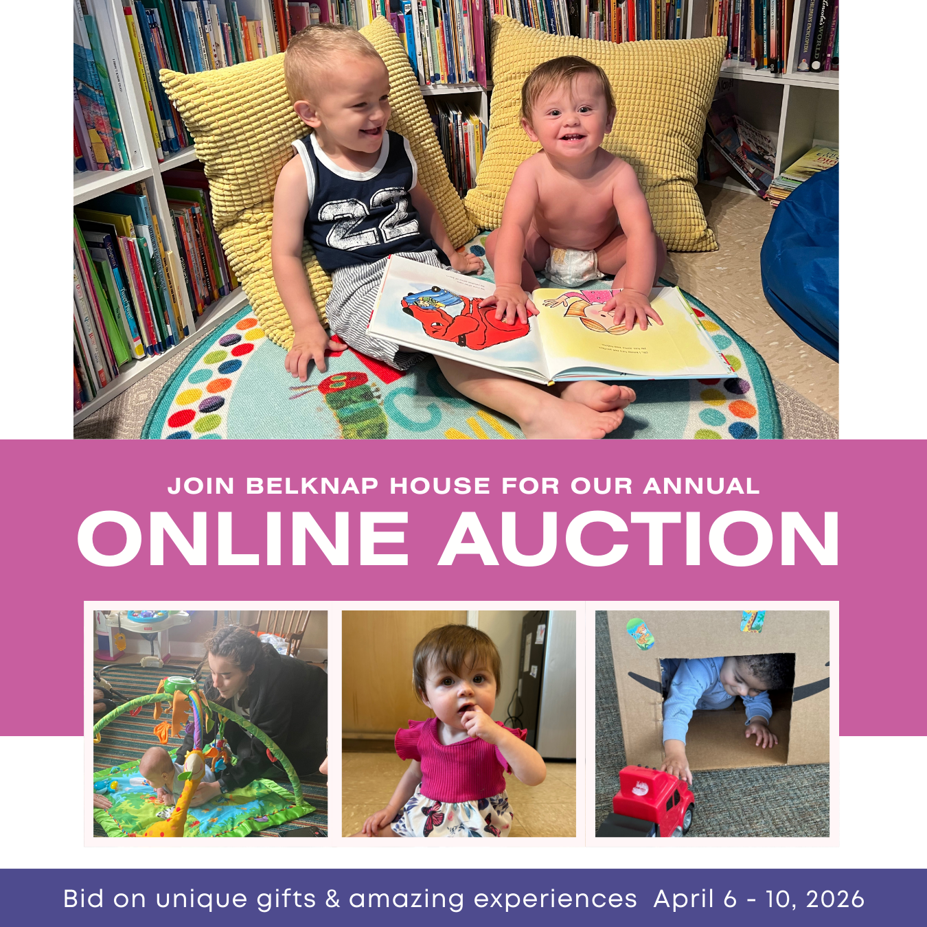 Annual Online Auction