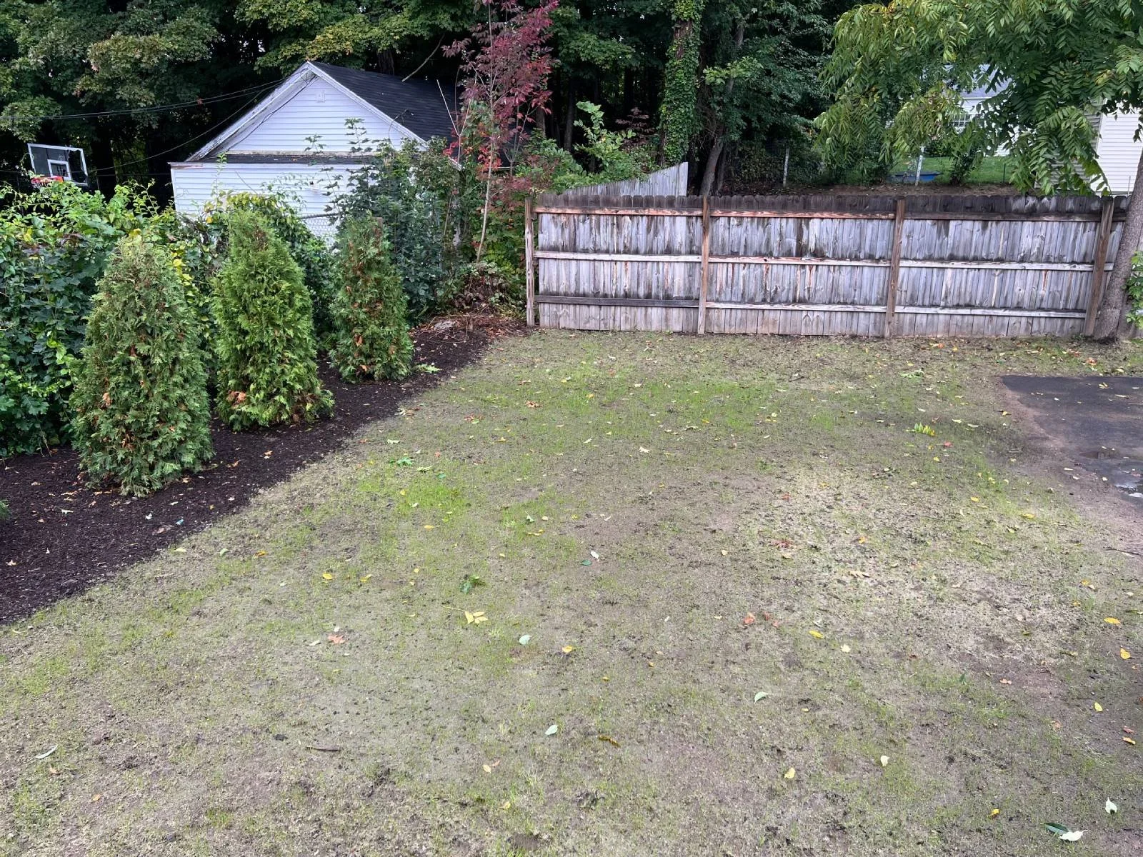 DAY 4
