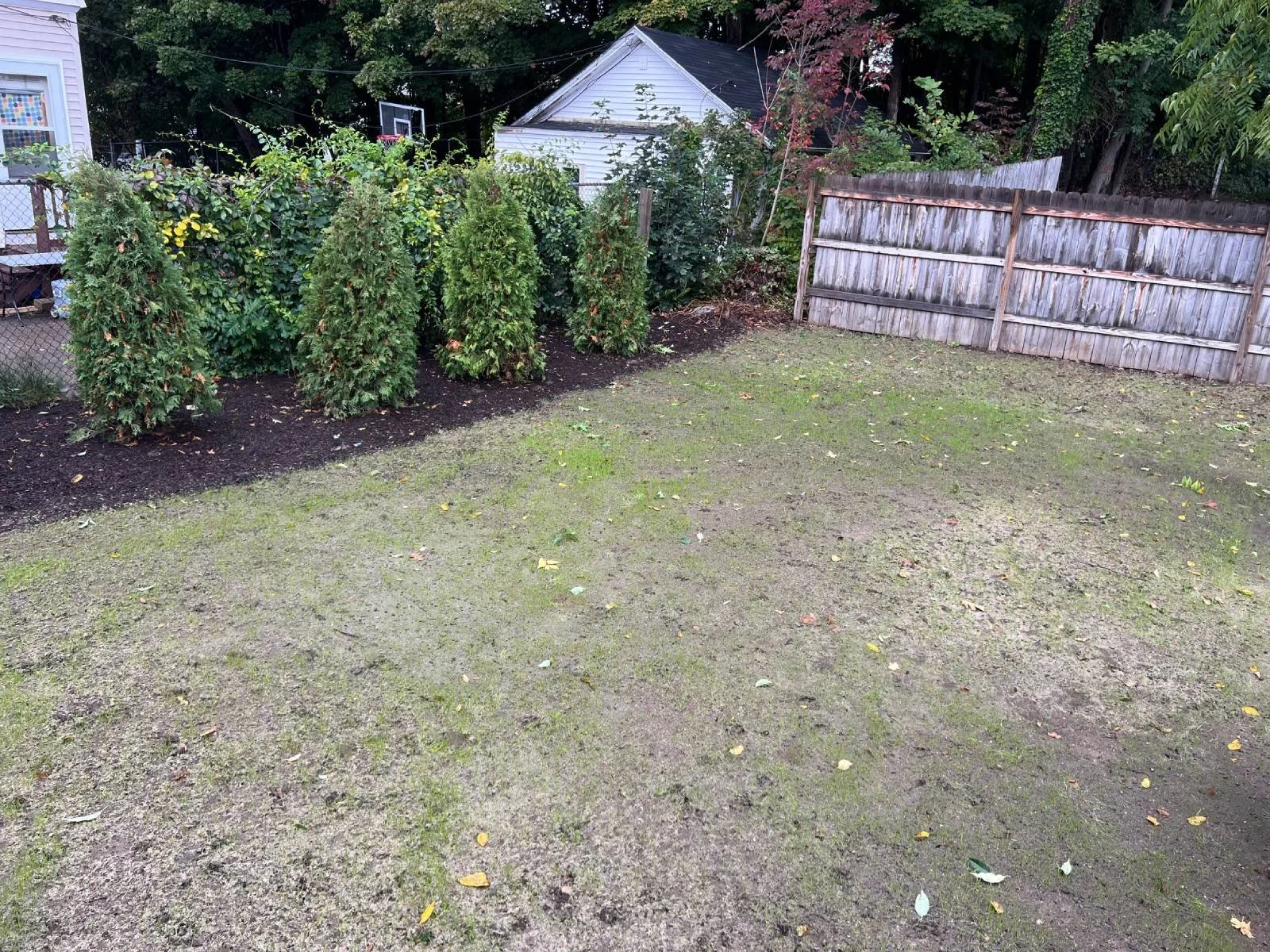 DAY 4