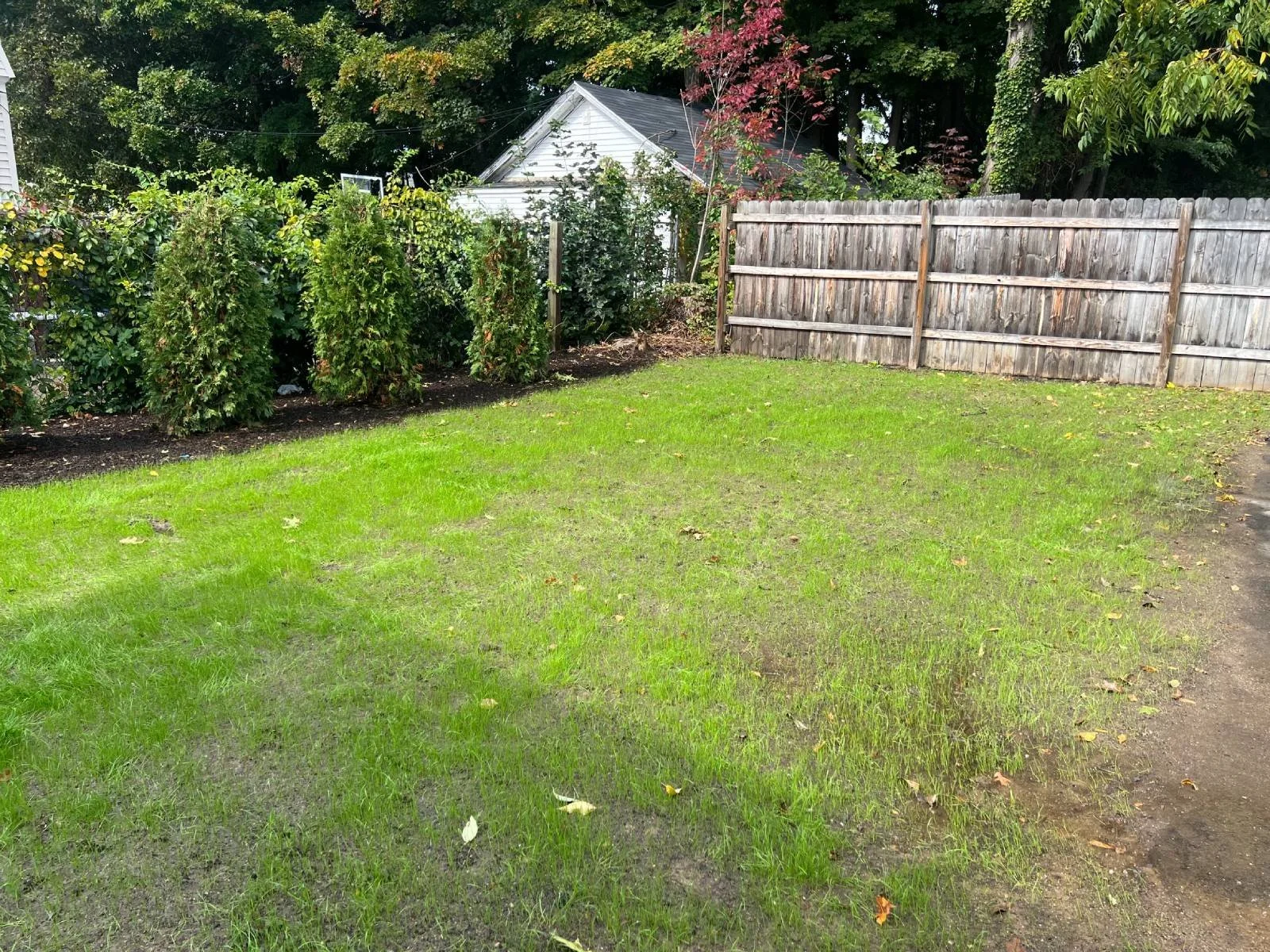 DAY 8
