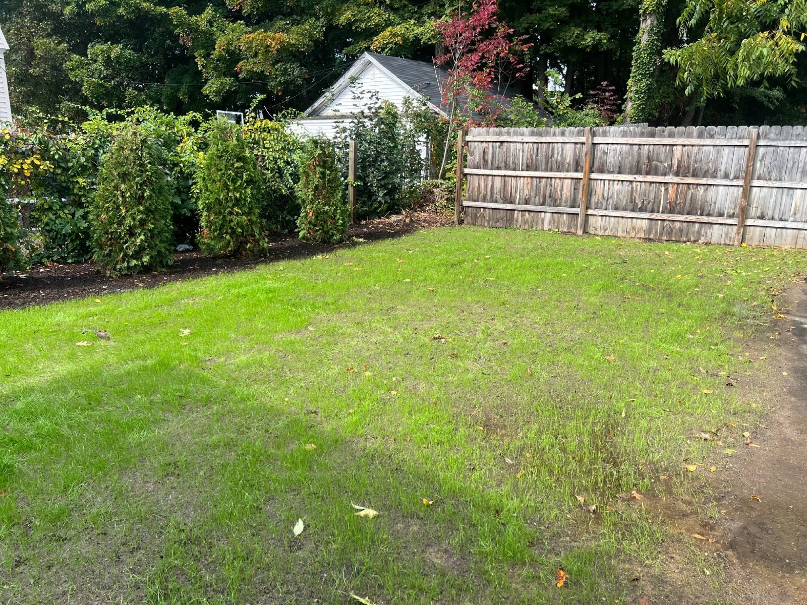 DAY 8