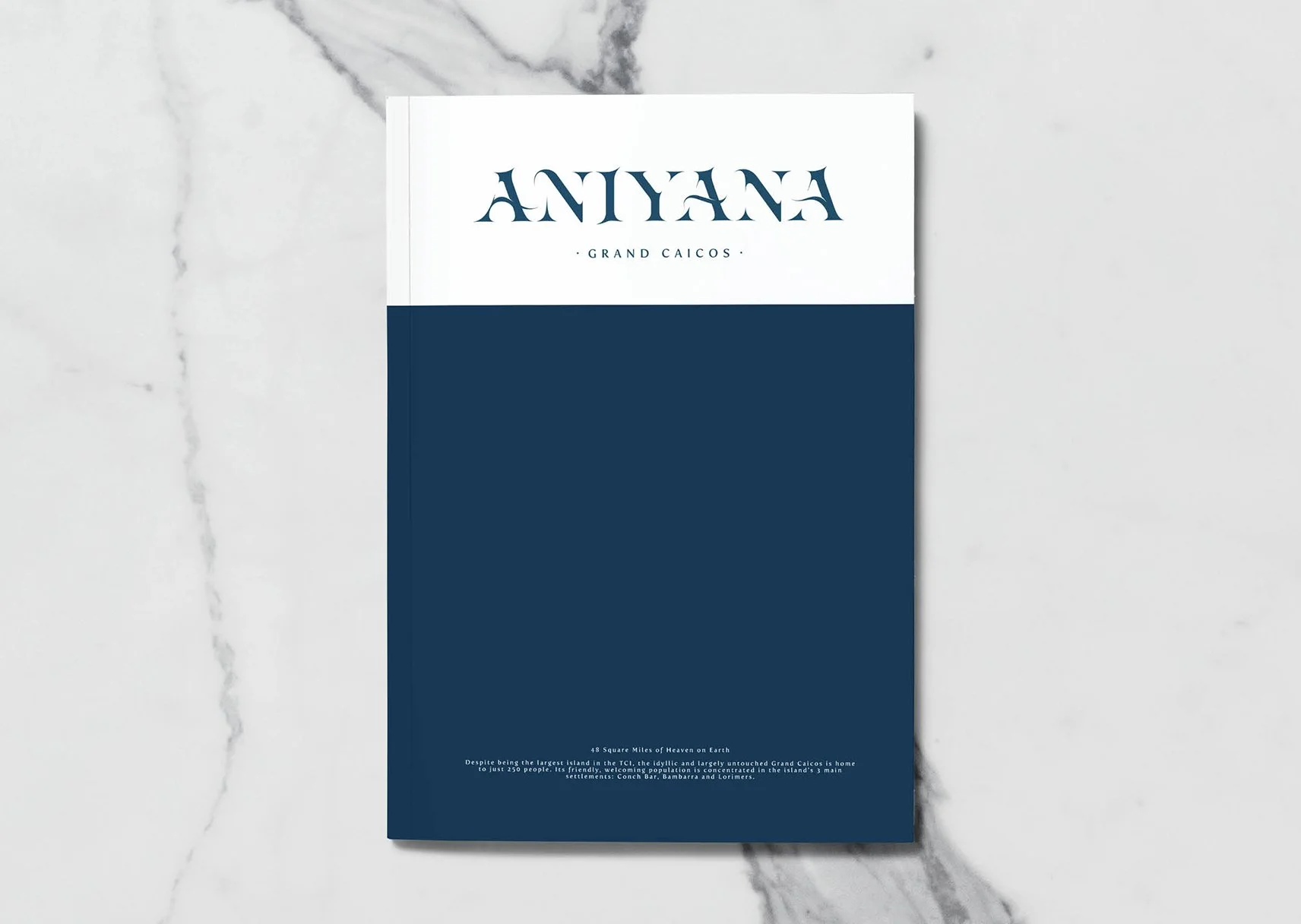 Aniyana_03.jpg