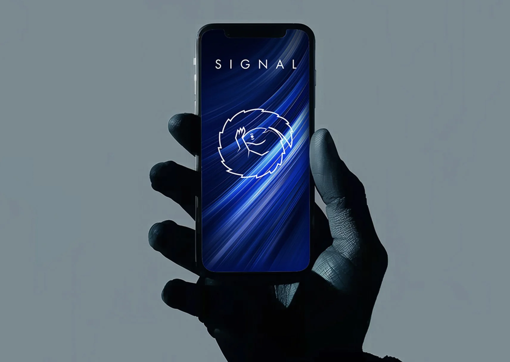 Signal_01.jpg