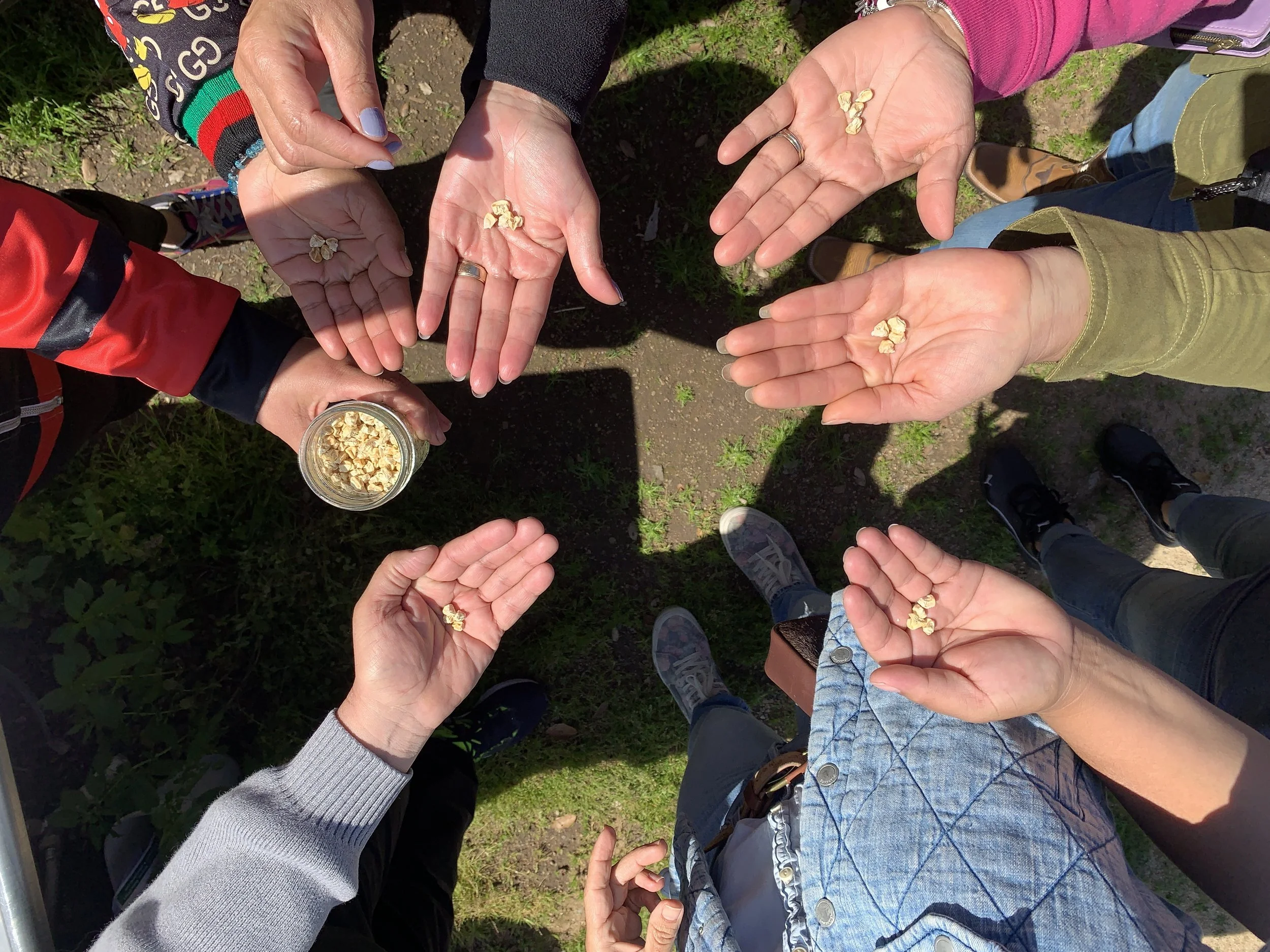 Sherman Cocina 2.JPG