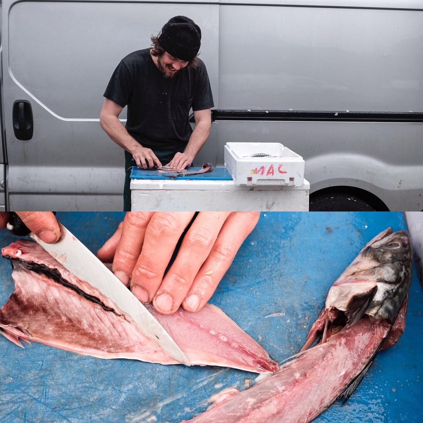 Good morning! We shall we trading this weekend: Saturday @ @brockleymarket and Sunday @ @victoriaparkmkt and we will have some superb quality mackerel for you in incredible condition and a generous size. We&rsquo;ll be dousing it in our home preserve