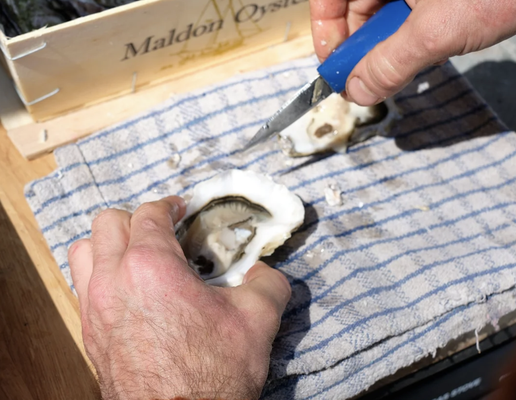 Screenshot 2026-01-16 at 10.41.35.png