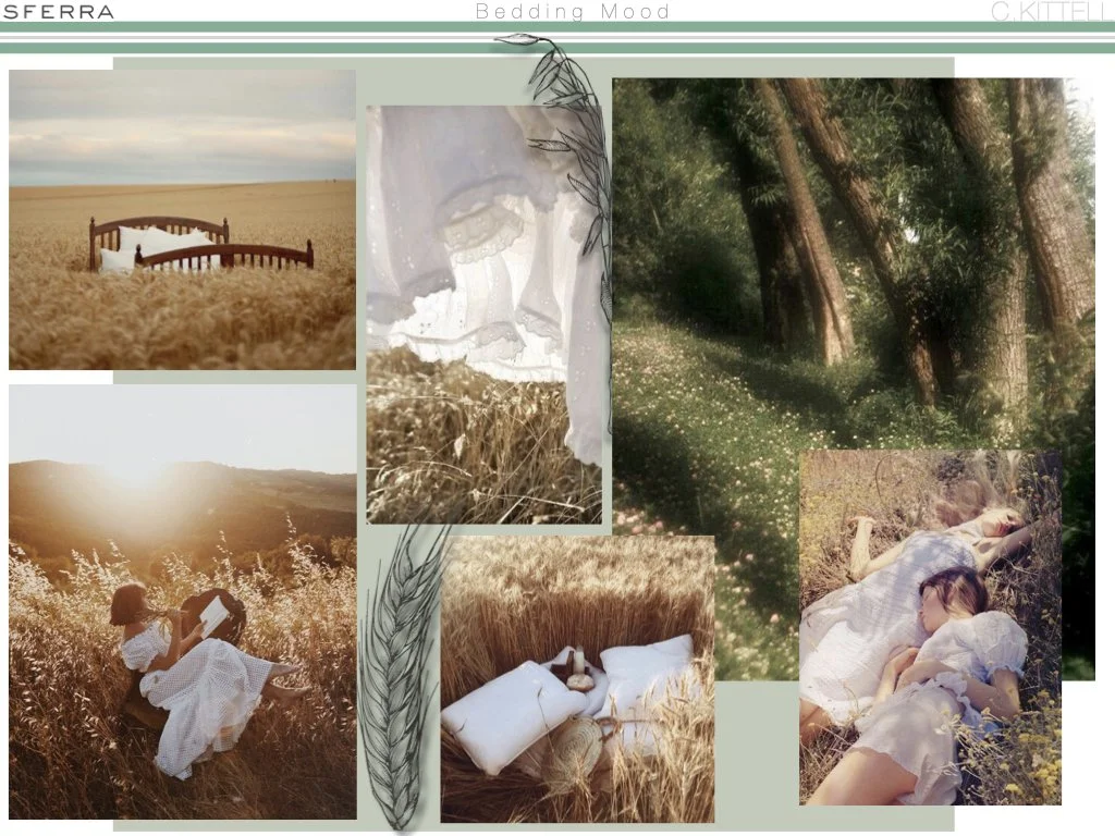 SFERRA Project copy.001.jpeg