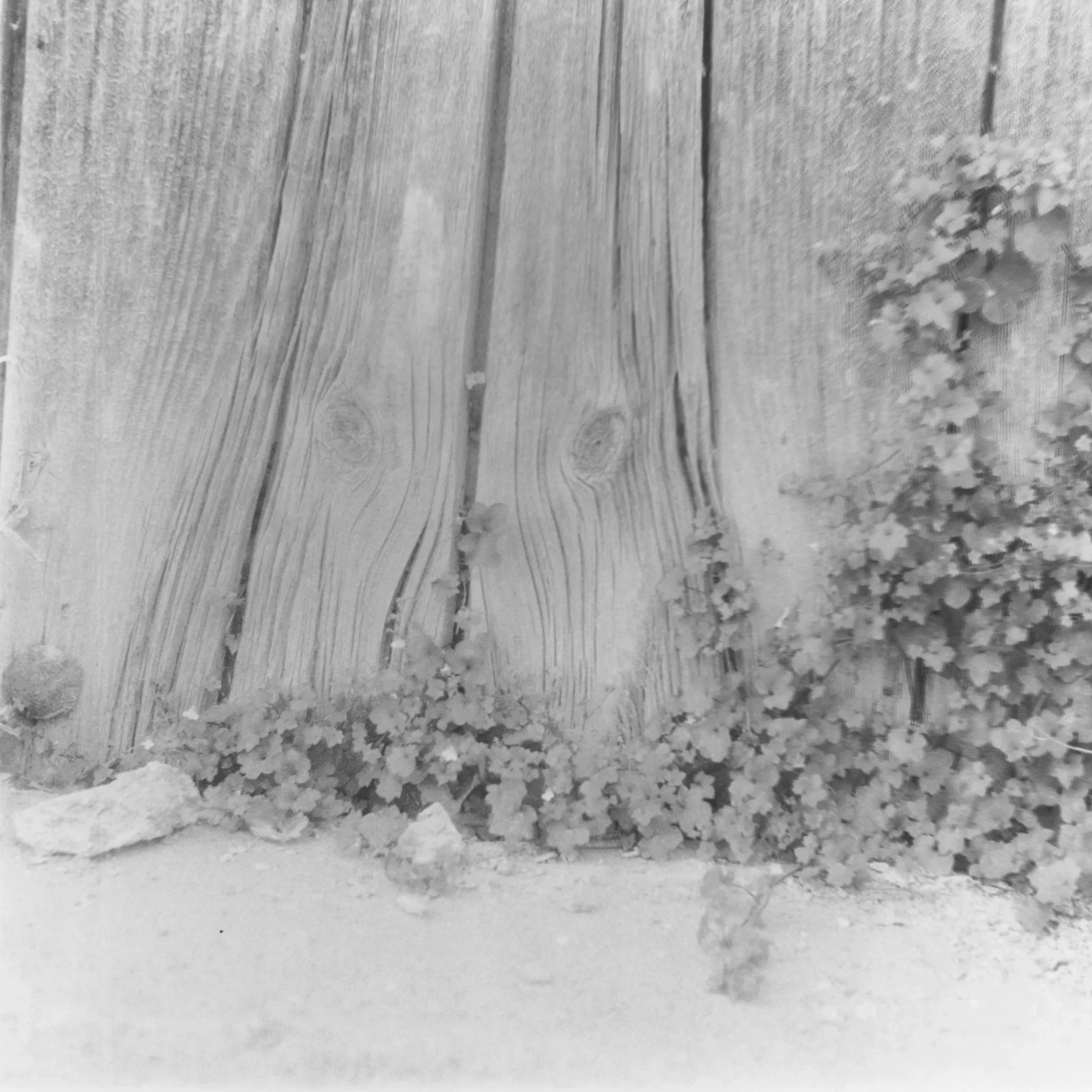 tlaroux-thresholds-print012.jpg