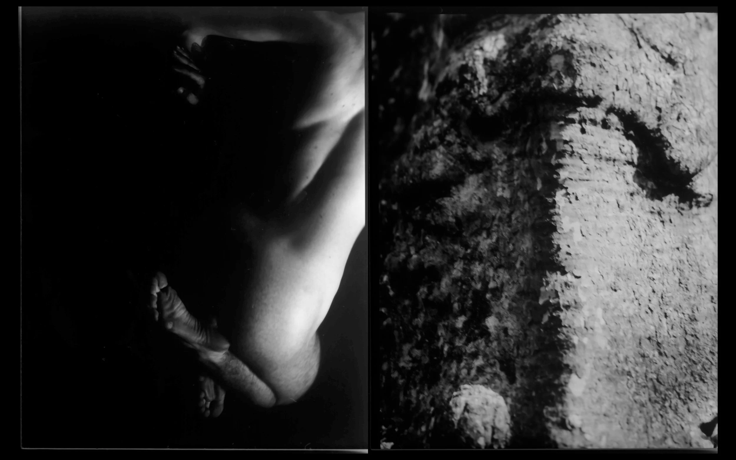 Bodies