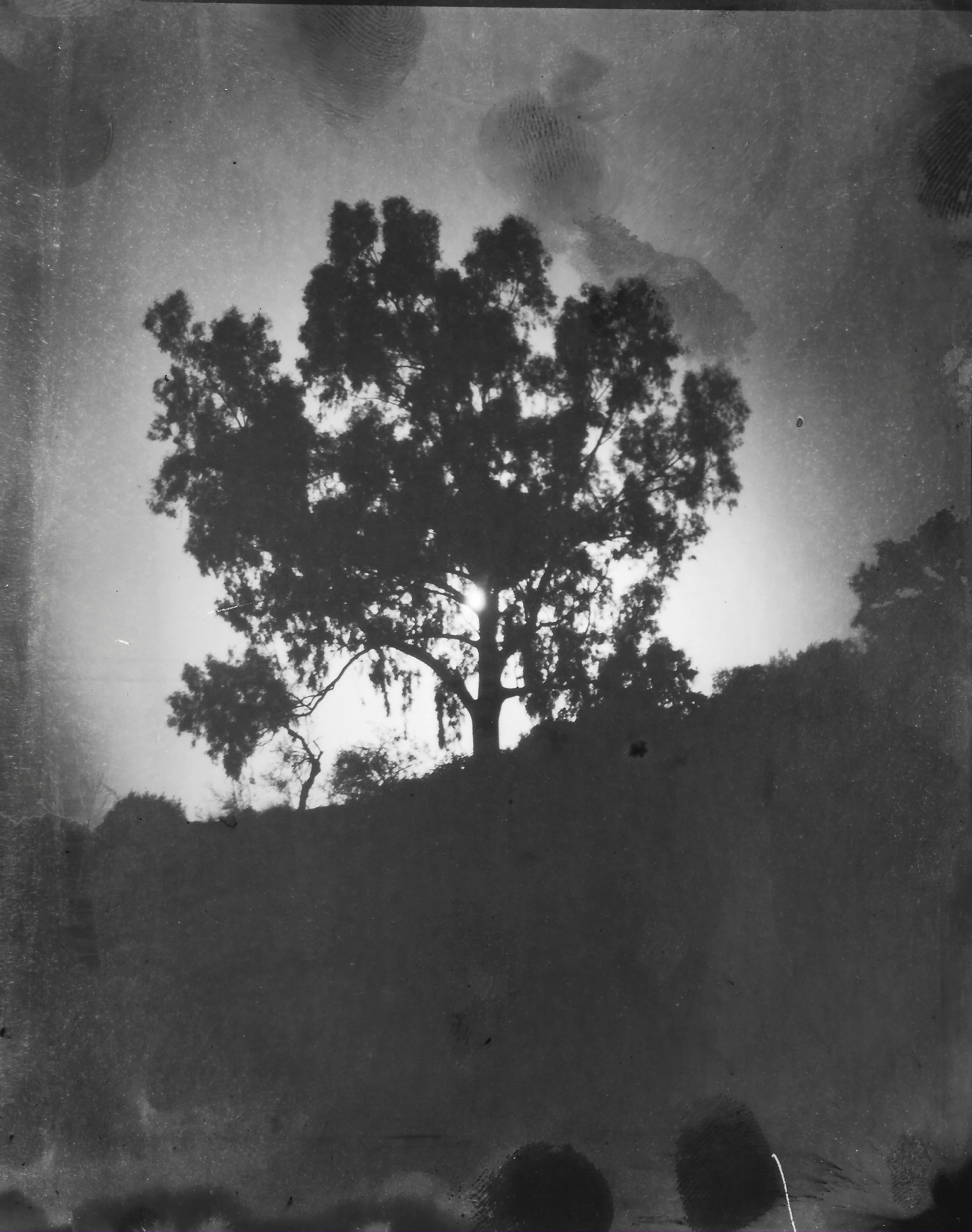 Polopos, 4x5 B&W reversal