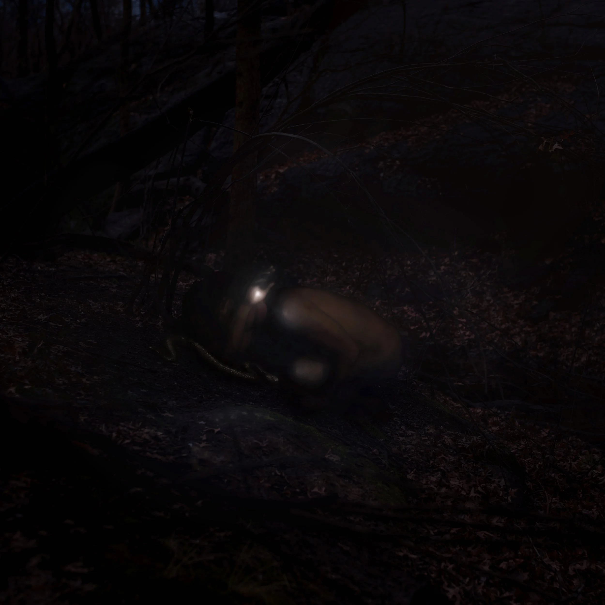 "Refraction of the Weary"
2026