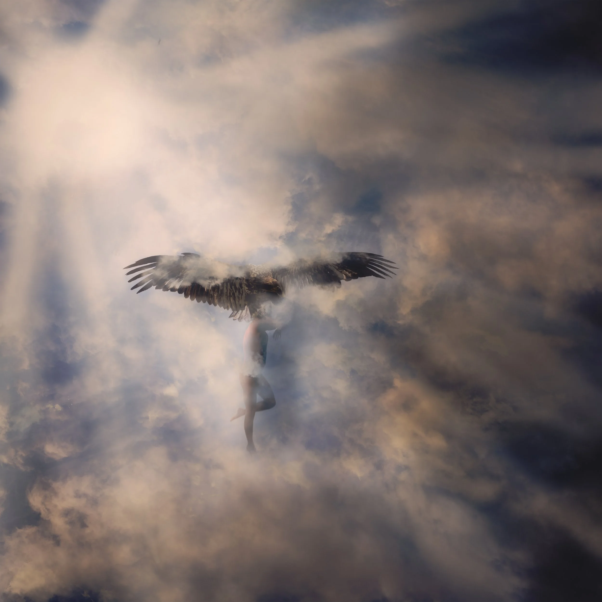 "The Weight of Wings"
2025