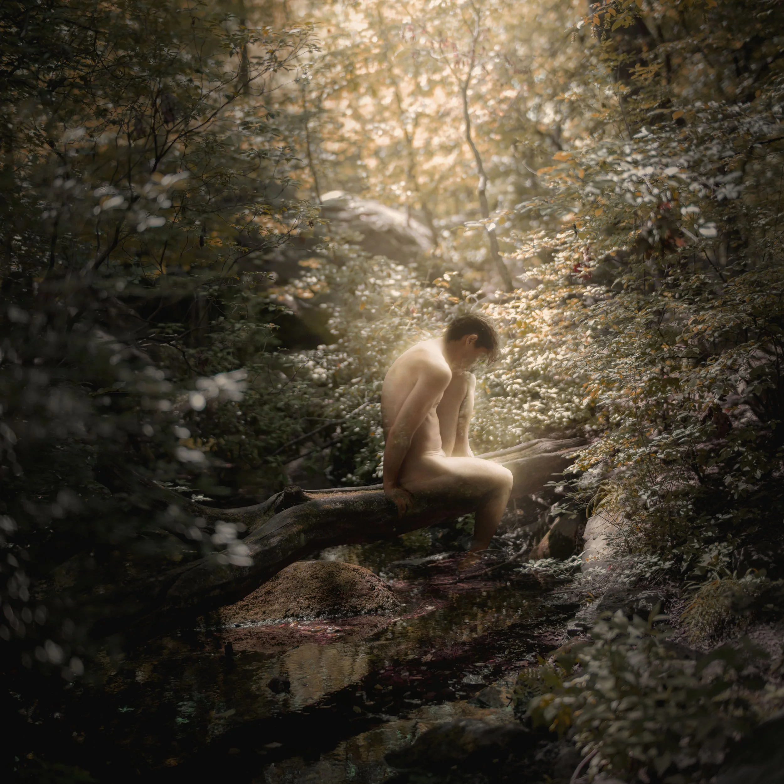 "A Dream, As It Fades, Is Discarded"
2025