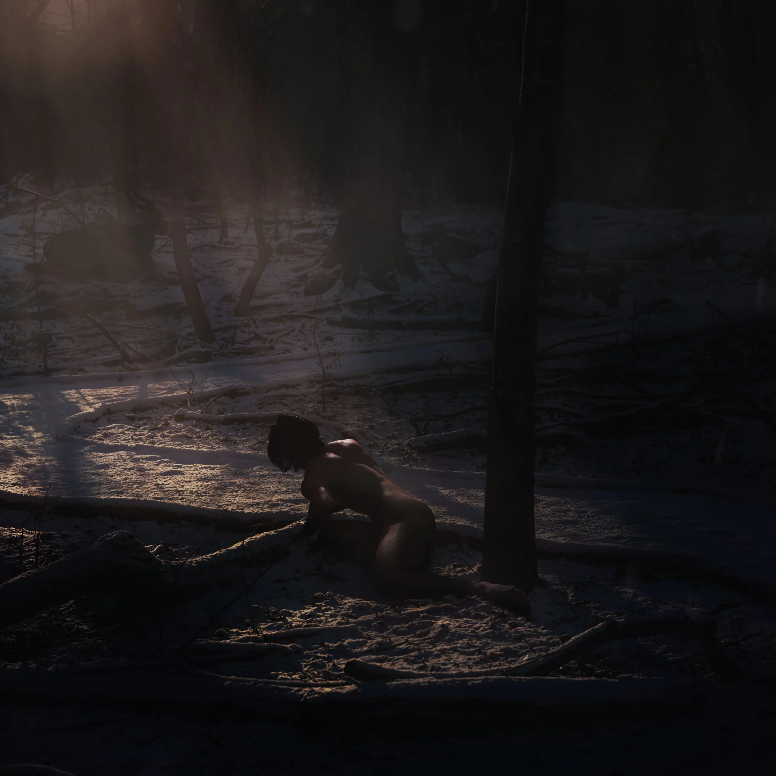 "Condition of Stillness"
2026