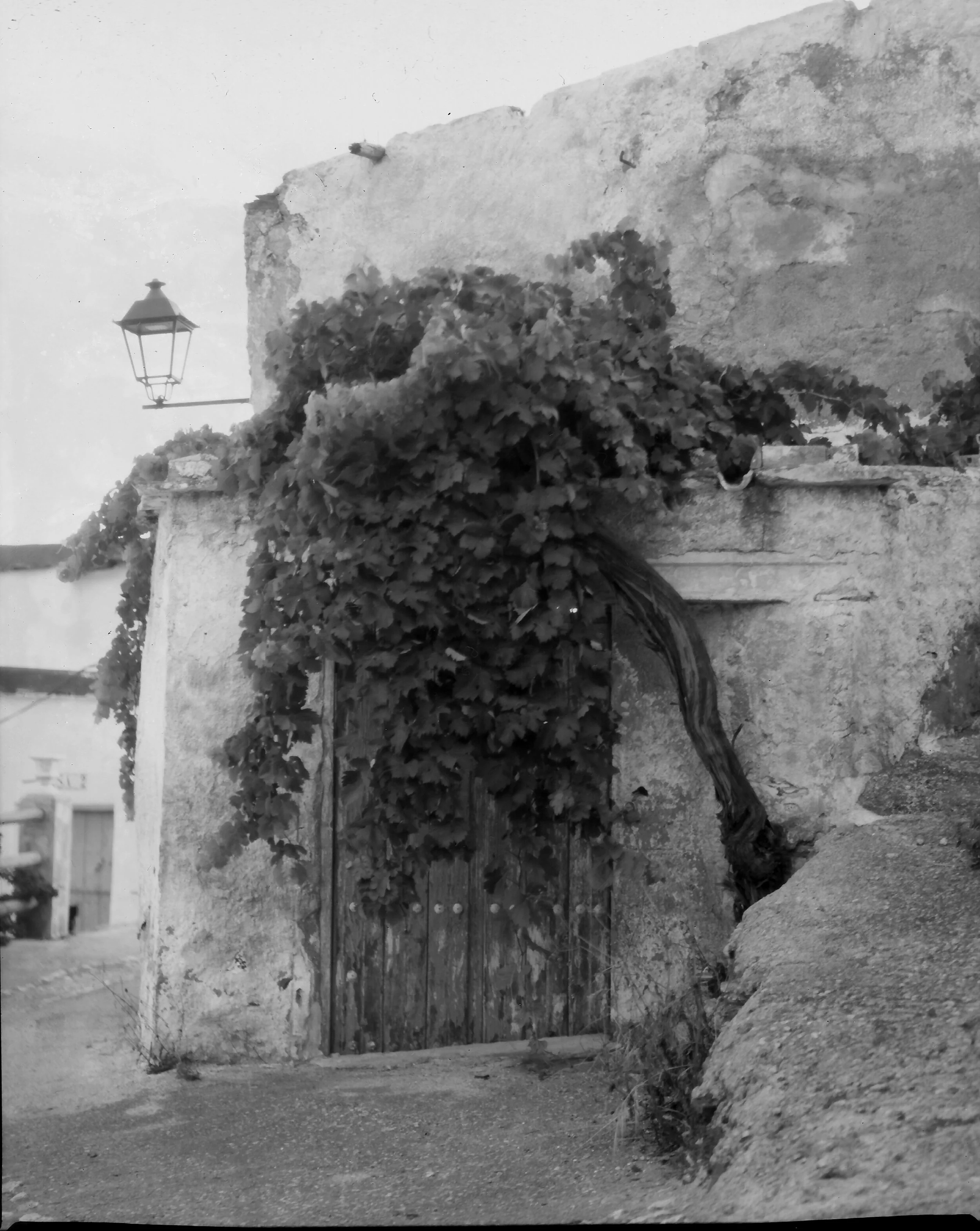 TLAROUX-BW-NEG-JUL14-11.jpg