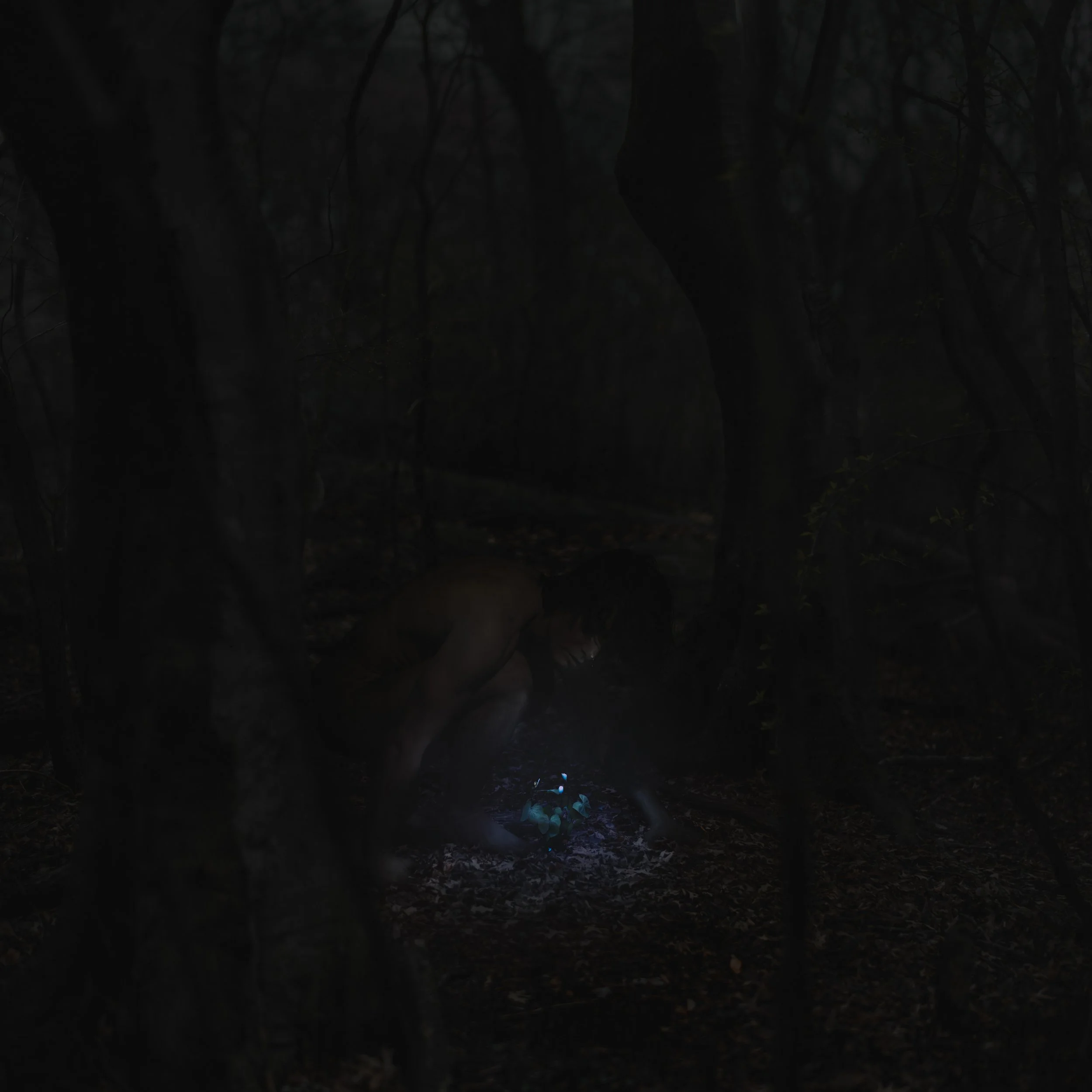 "Spectral Garden" 2026