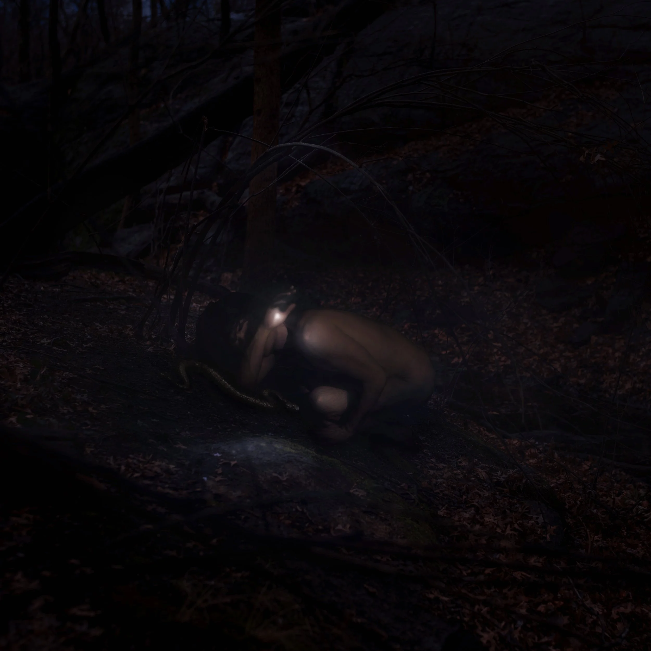 "Refraction of the Weary"
2026