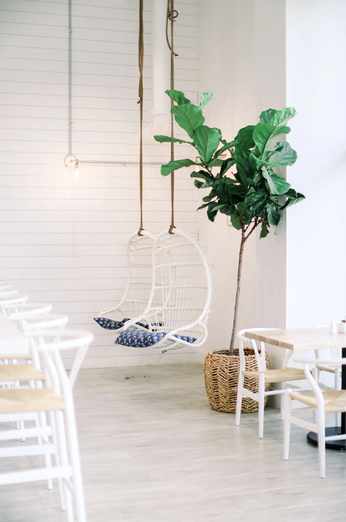 Erin Morris - RfwkqCmW.jpeg