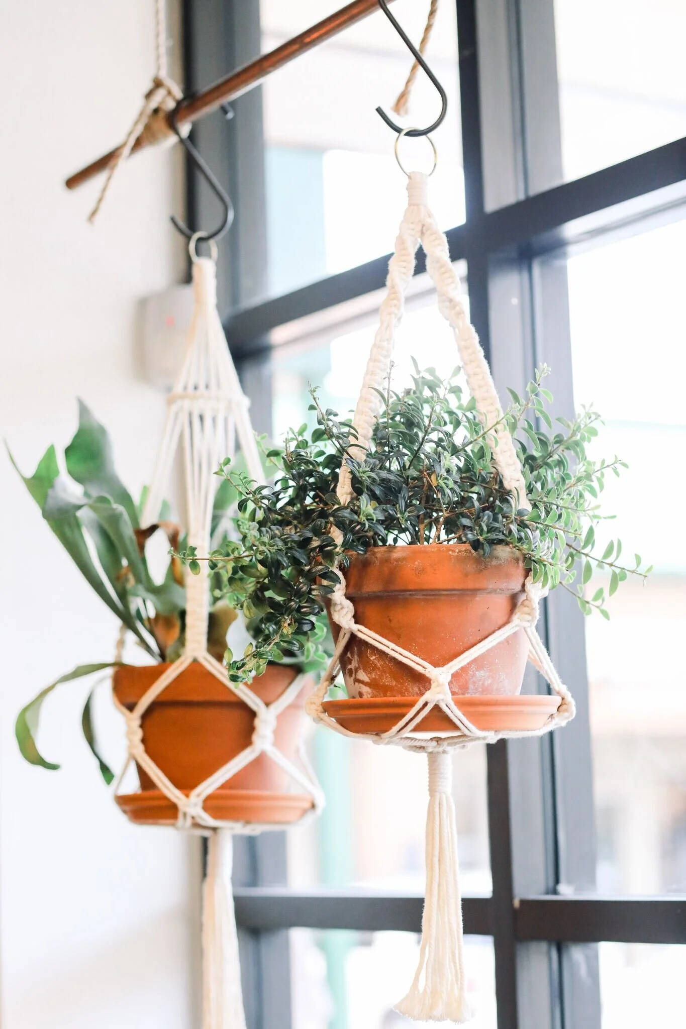 Erin Morris - YwxGz7k1.jpeg