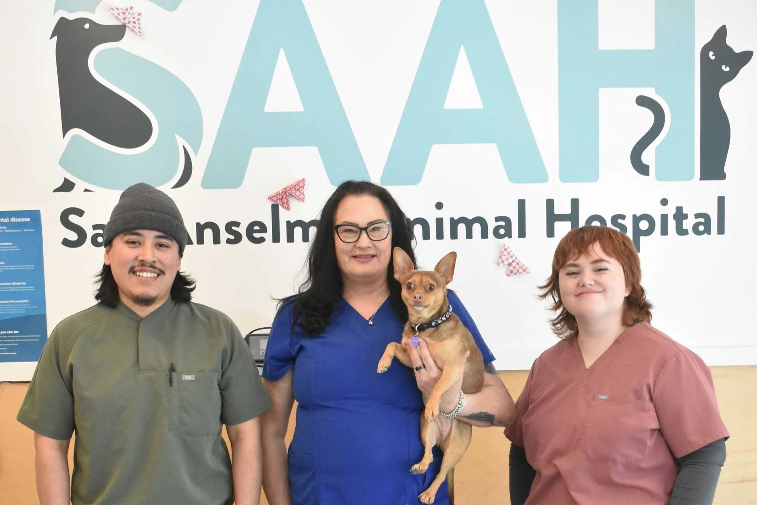 A picture of the Client Care Team at San Anselmo Animal Hospital with the logo on the wall behind them.