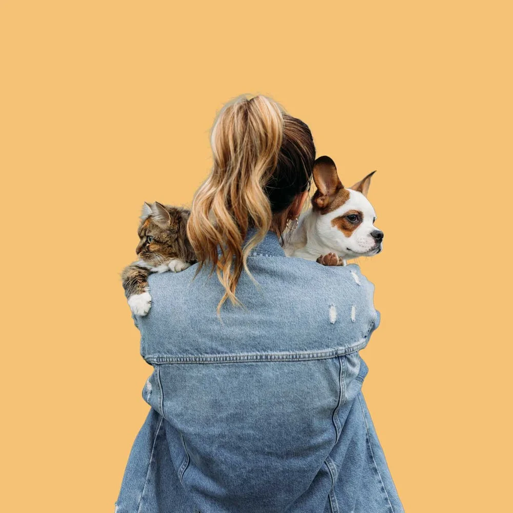 San Anselmo Animal Hospital