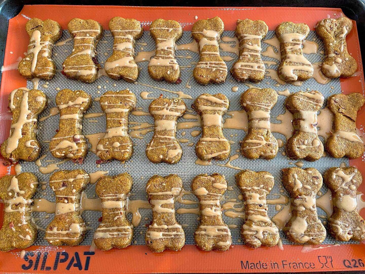 San Anselmo Animal Hospital