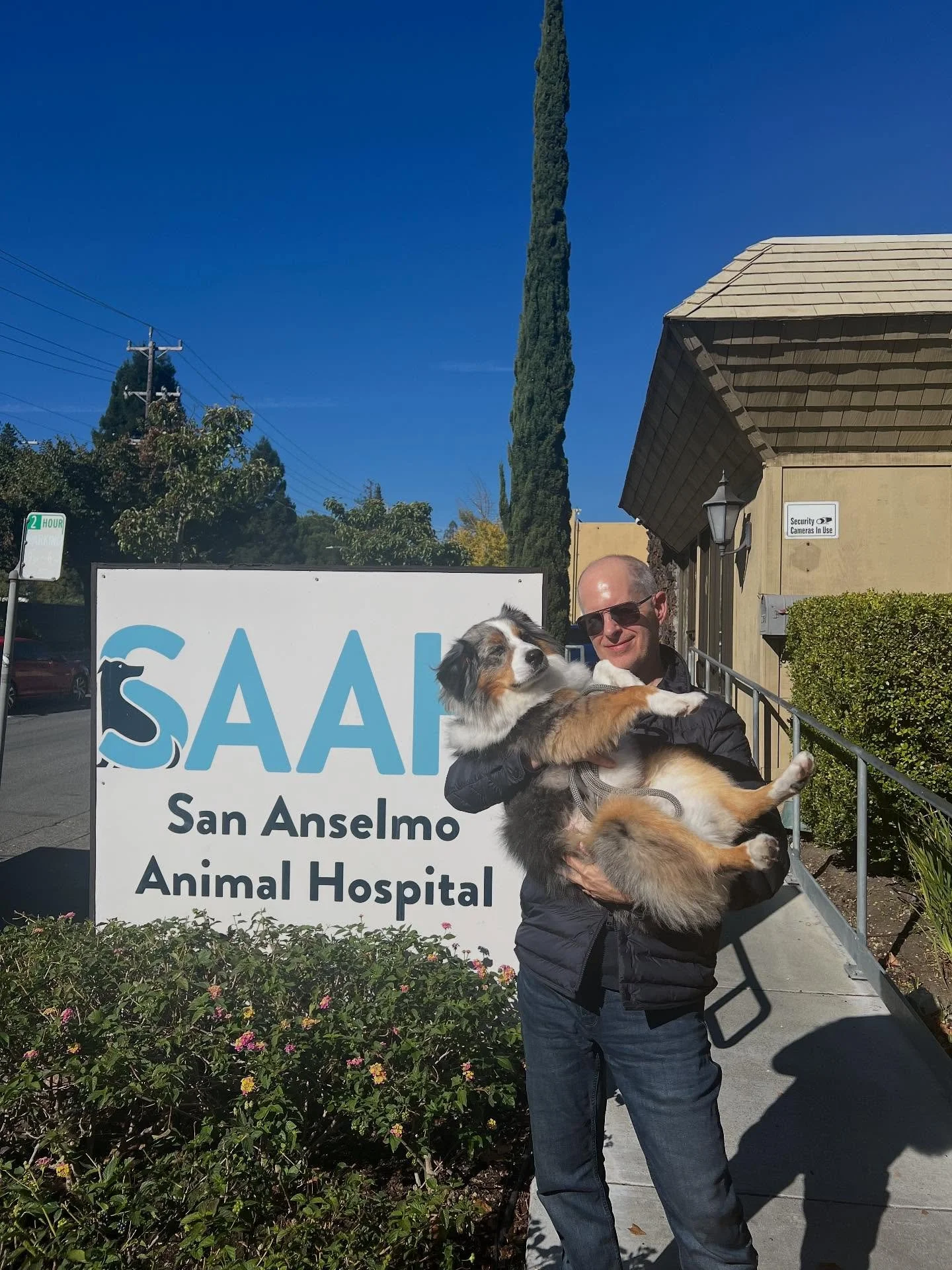 We are so excited to let you all know that we are now open on Saturdays from 9-2!! Call to make an appointment. We also have limited slots for anything urgent that comes up 🩺🐶🐾❤️&zwj;🩹