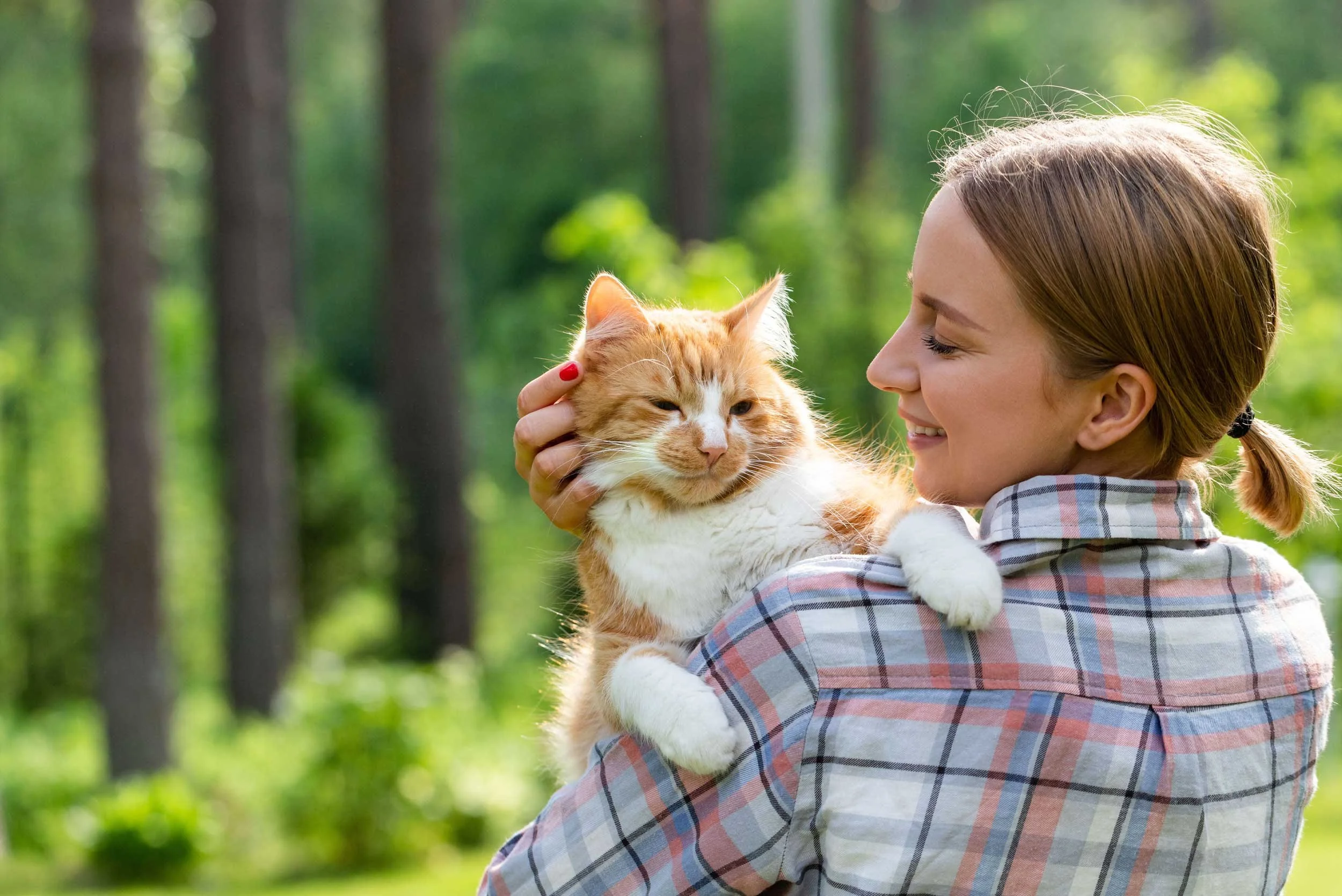Hero-cat-being-held-SAAH-2026.jpg
