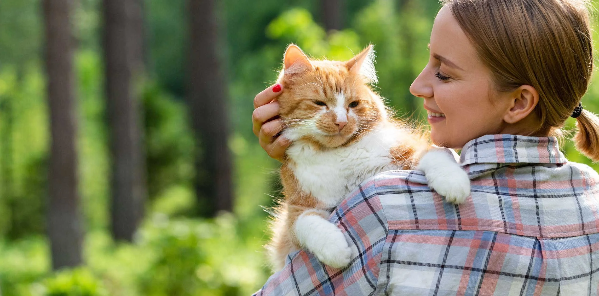 Hero-cat-being-held4-SAAH-2026.jpg