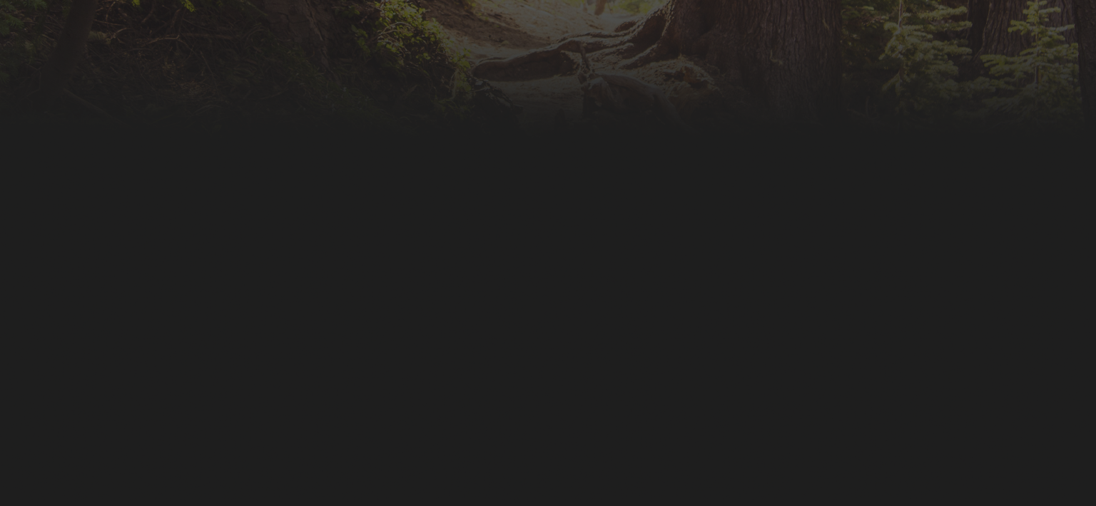 tree-photo-gradient.png