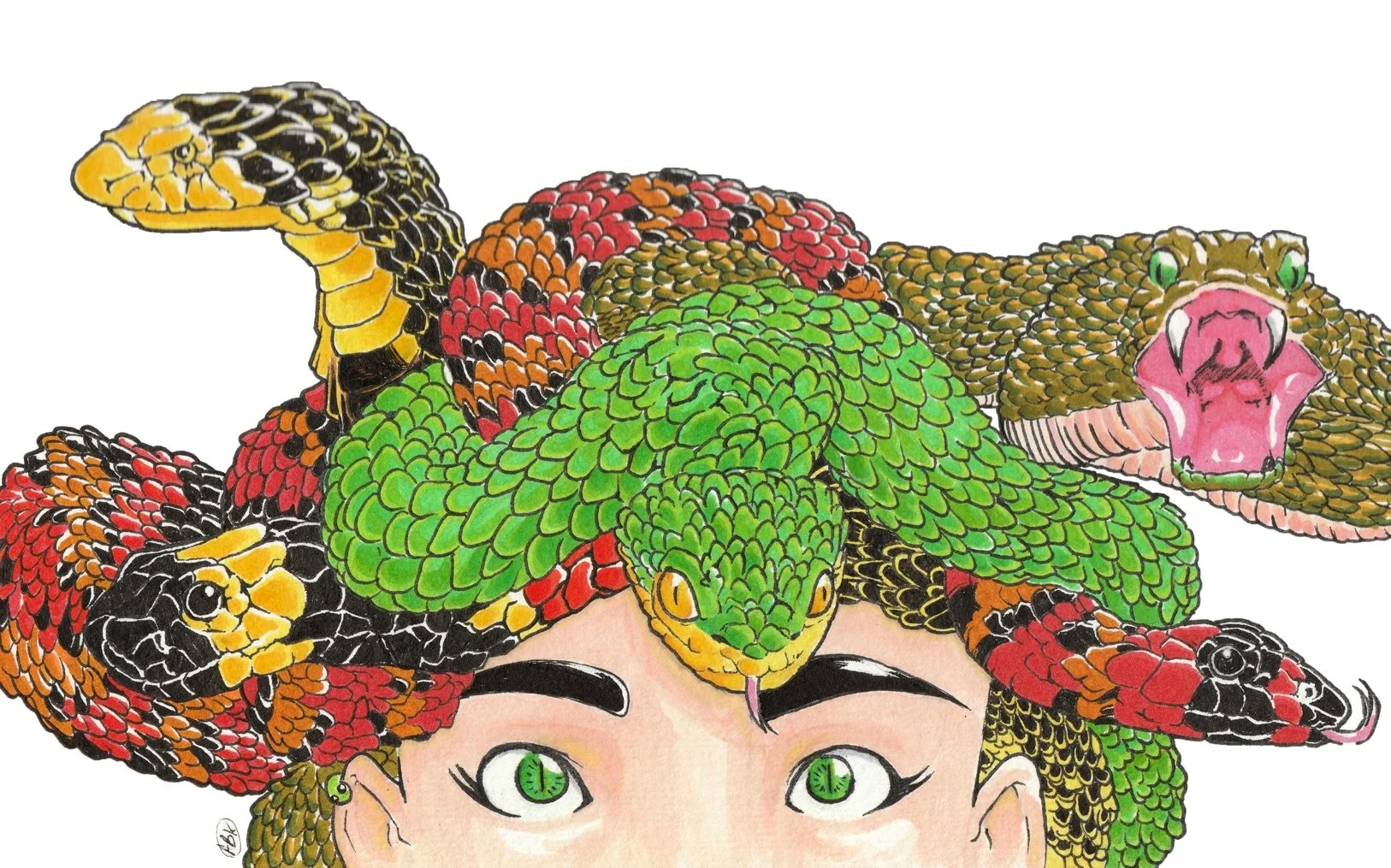 Medusa.jpg