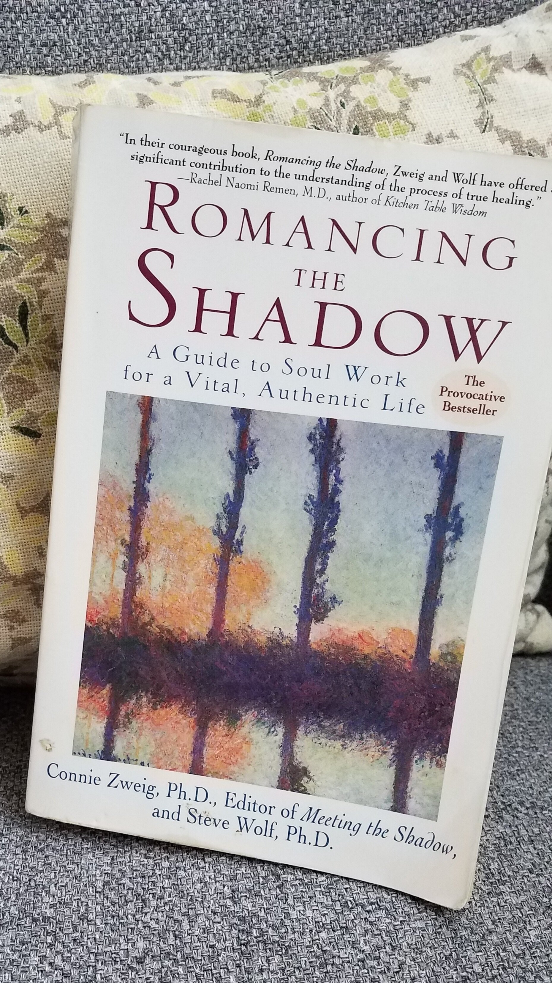 Another excellent, easy-to-understand, well-written book on Shadow work and why its so important. It includes the different aspects of life and relationships where Shadow behavior might show up and how to do your own self-exploration on the subject.