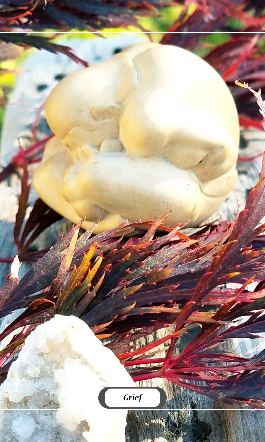 A pale-colored skull of an animal placed on red-leaved branches with a piece of white rock in the foreground. The word 'Grief' is written at the bottom.