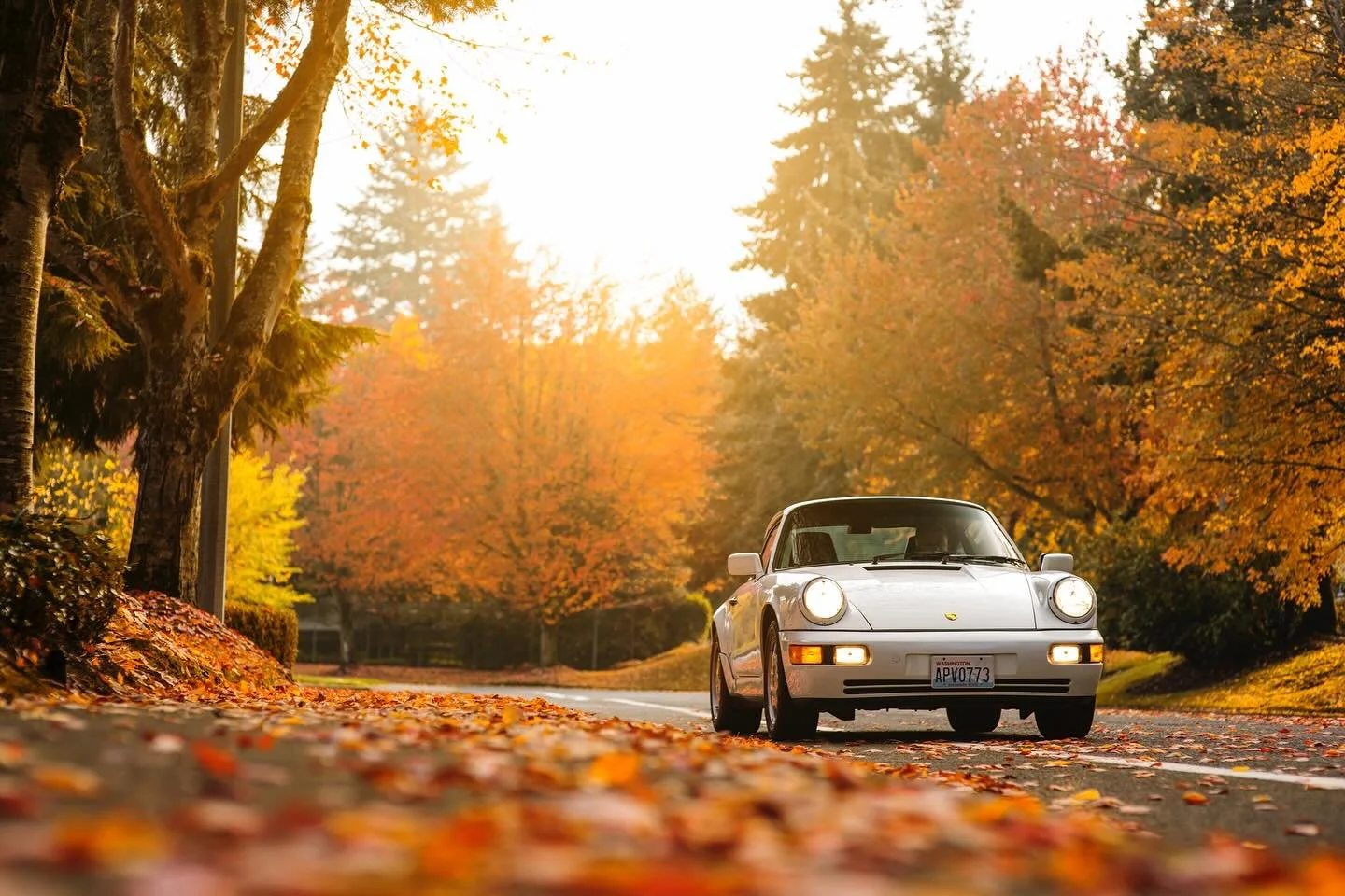 Fall vibes with @porsche ππ
#porsche #porsche911