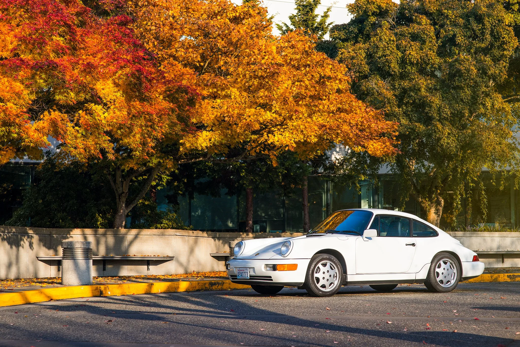 1990 Porsche 911 964 | Seattle Automotive Photography | Josh Mackey | Mackeydesigns