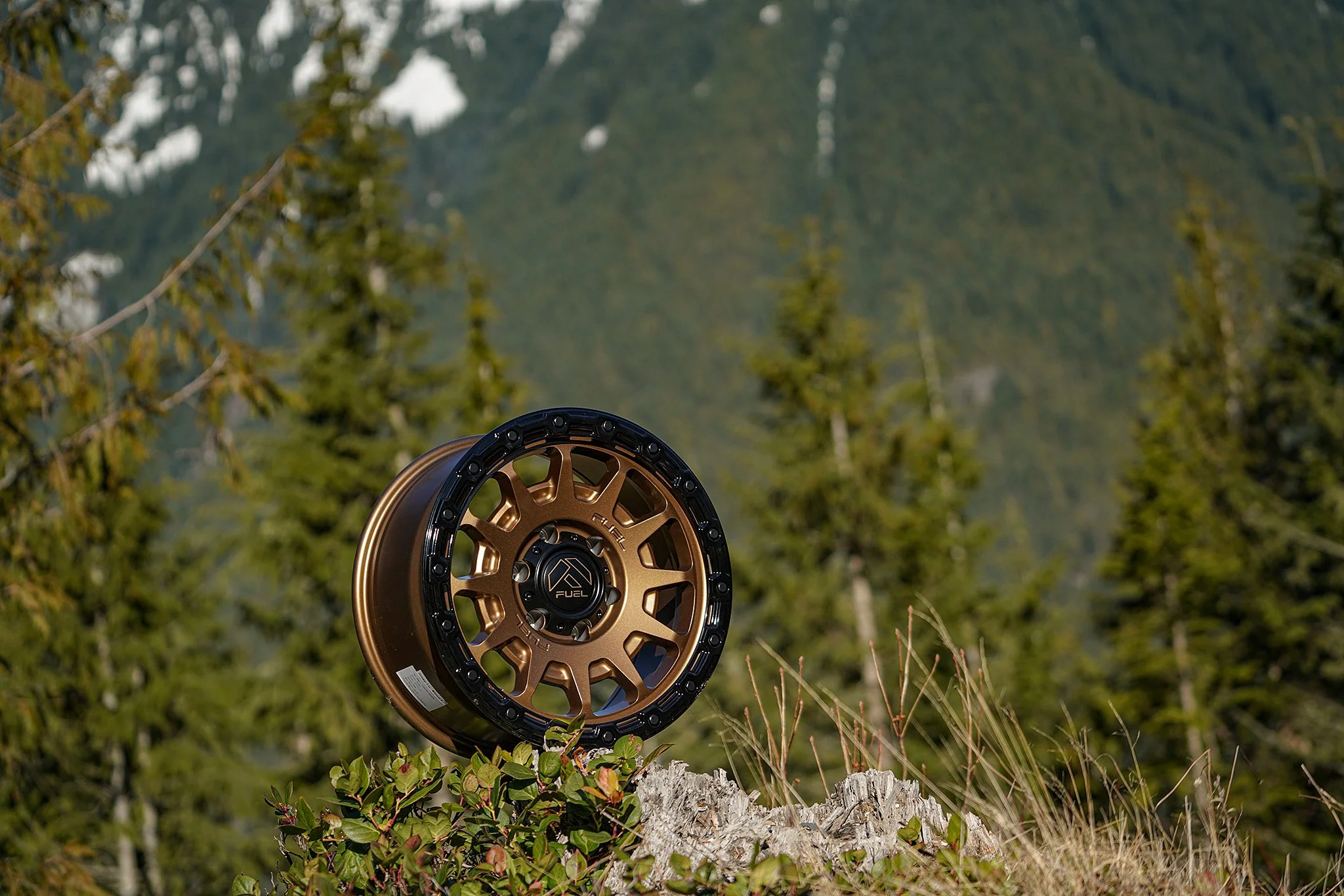 2020 Toyota Tacoma | Fuel Off-Road Wheels | Seattle Automotive Photography | Josh Mackey | Mackeydesigns