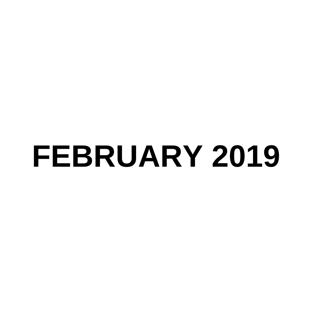 MARKET UPDATE (FEBRUARY  2019)