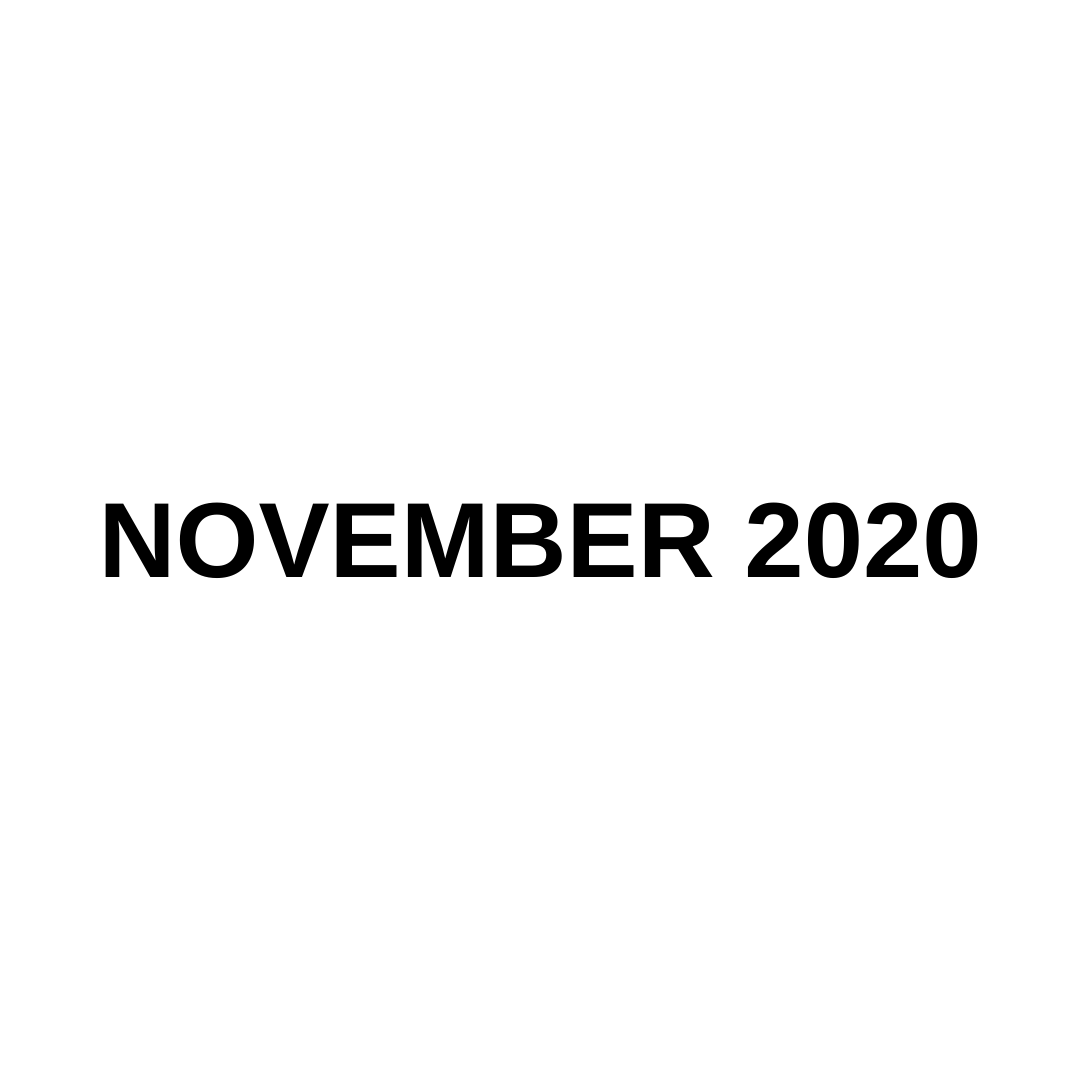MARKET UPDATE (NOVEMBER 2020)